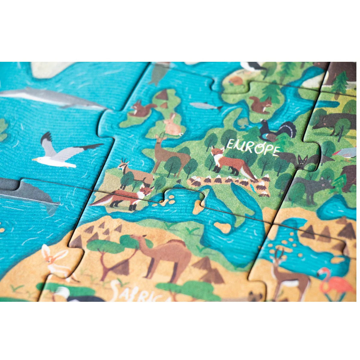 Animal Planet Puzzle
