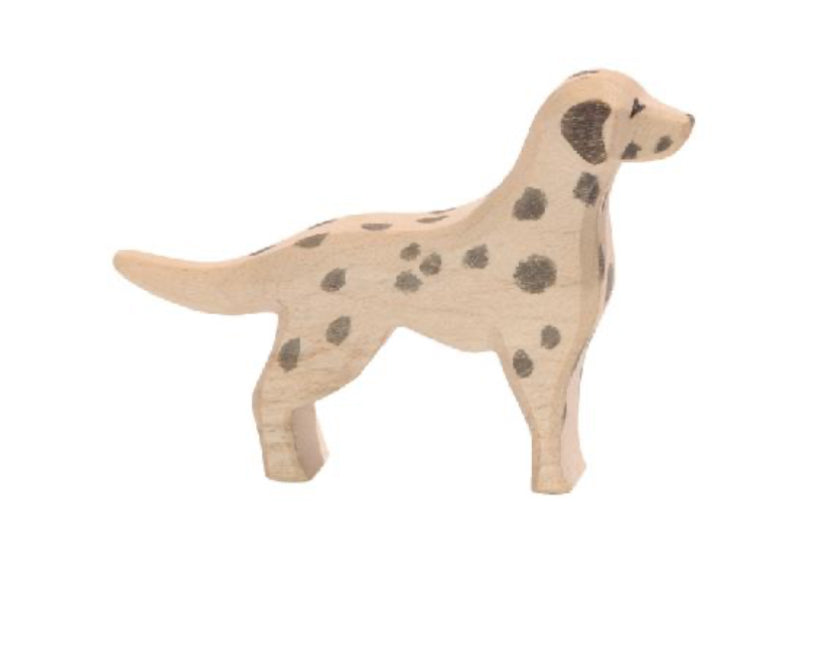 Dalmation