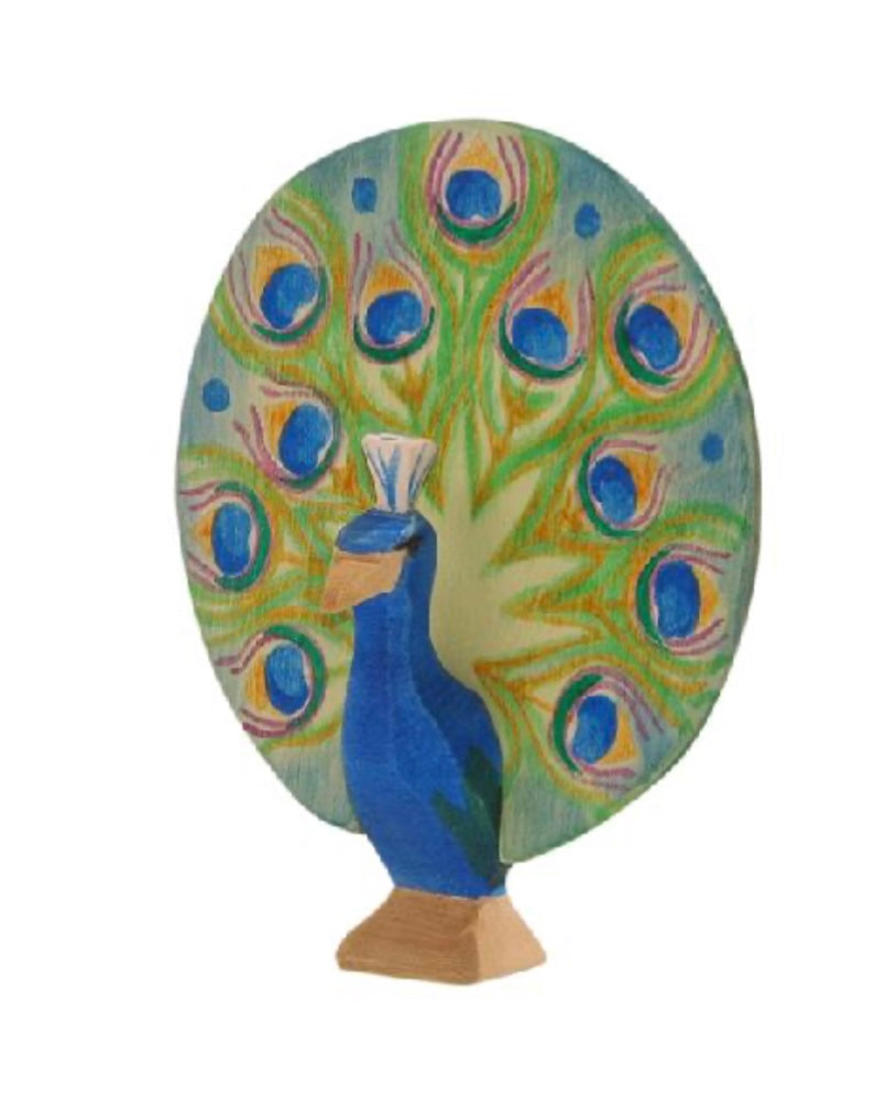 Peacock Open (Limited)