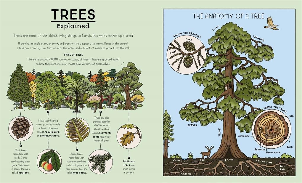 Nature Explained: A Family Guide to 20 Nature Cycles (Our World Explained)