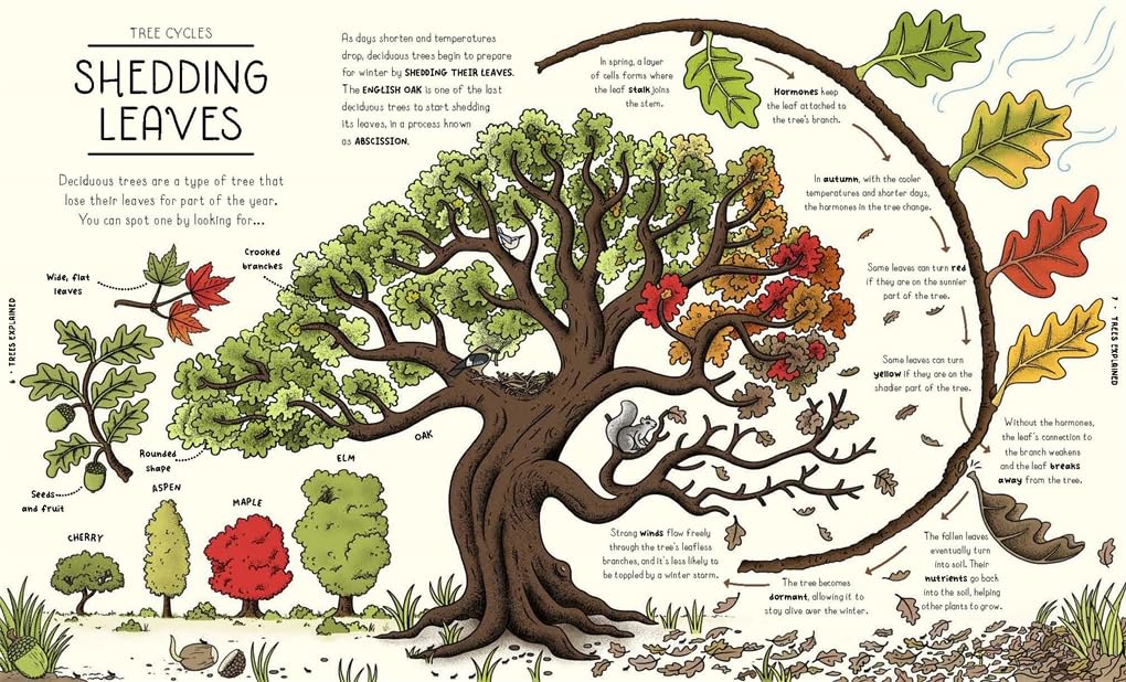 Nature Explained: A Family Guide to 20 Nature Cycles (Our World Explained)