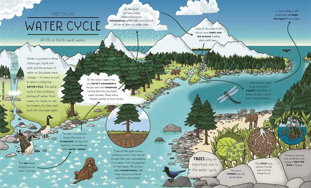 Nature Explained: A Family Guide to 20 Nature Cycles (Our World Explained)
