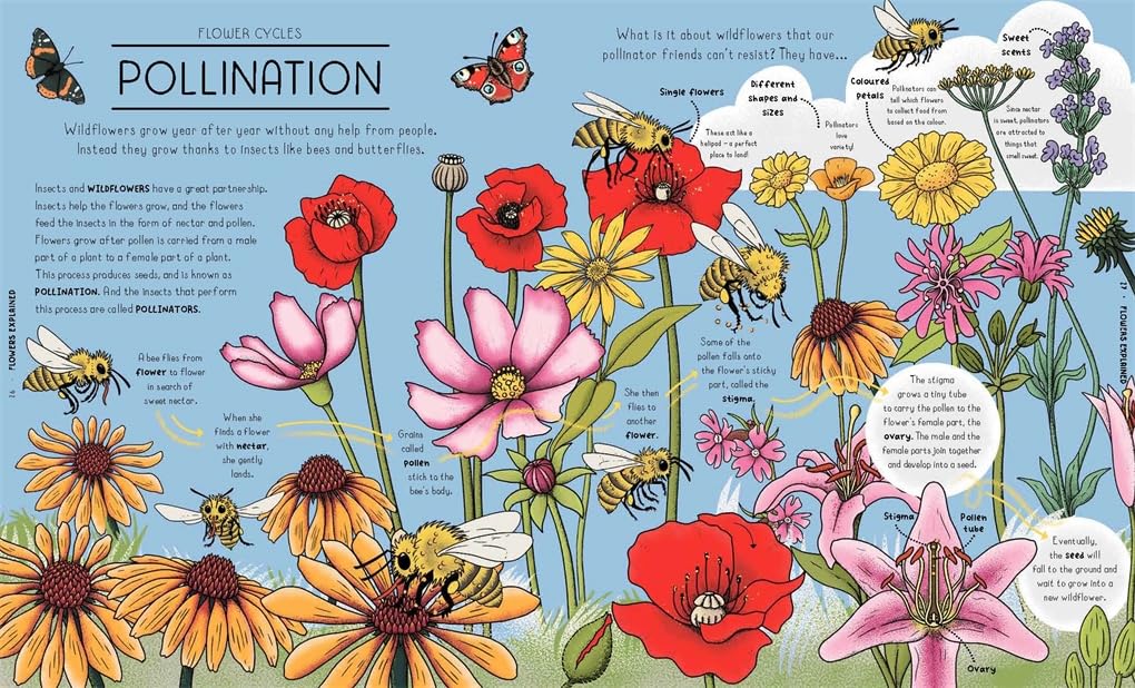 Nature Explained: A Family Guide to 20 Nature Cycles (Our World Explained)