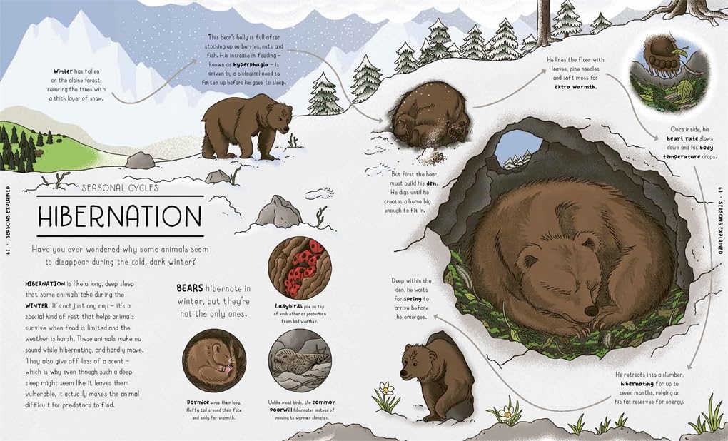 Nature Explained: A Family Guide to 20 Nature Cycles (Our World Explained)