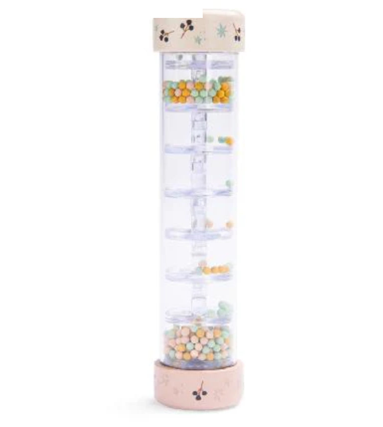 Rain Stick