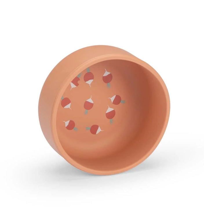Baby Set Dish