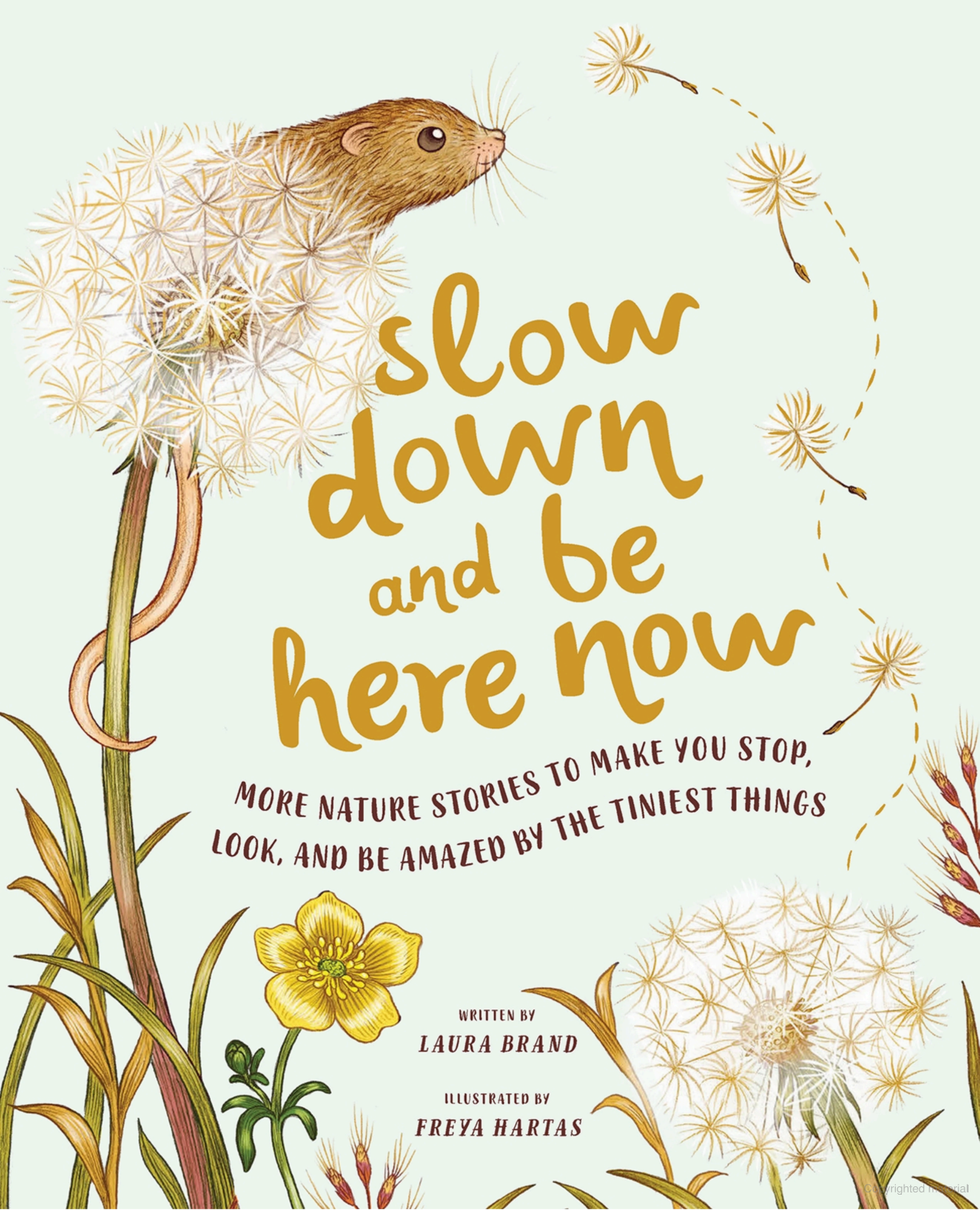 Slow Down and Be Here Now Book