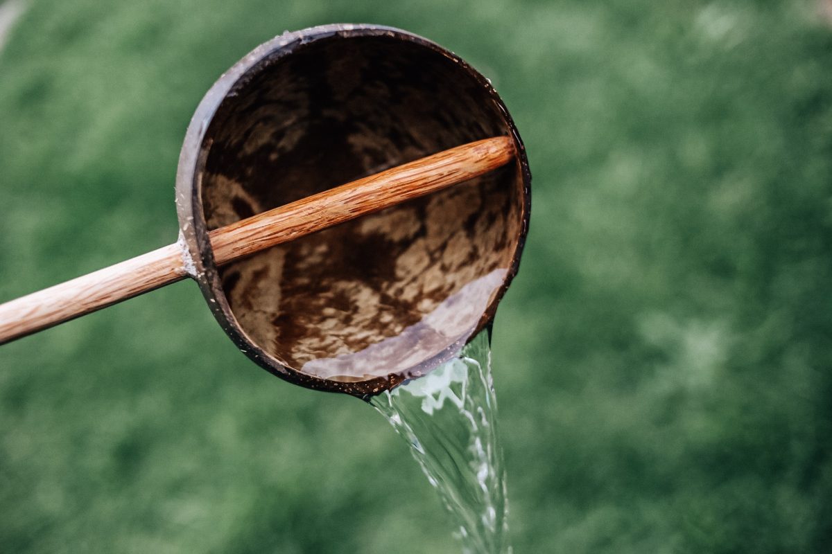 Coconut Shell Water Scoop