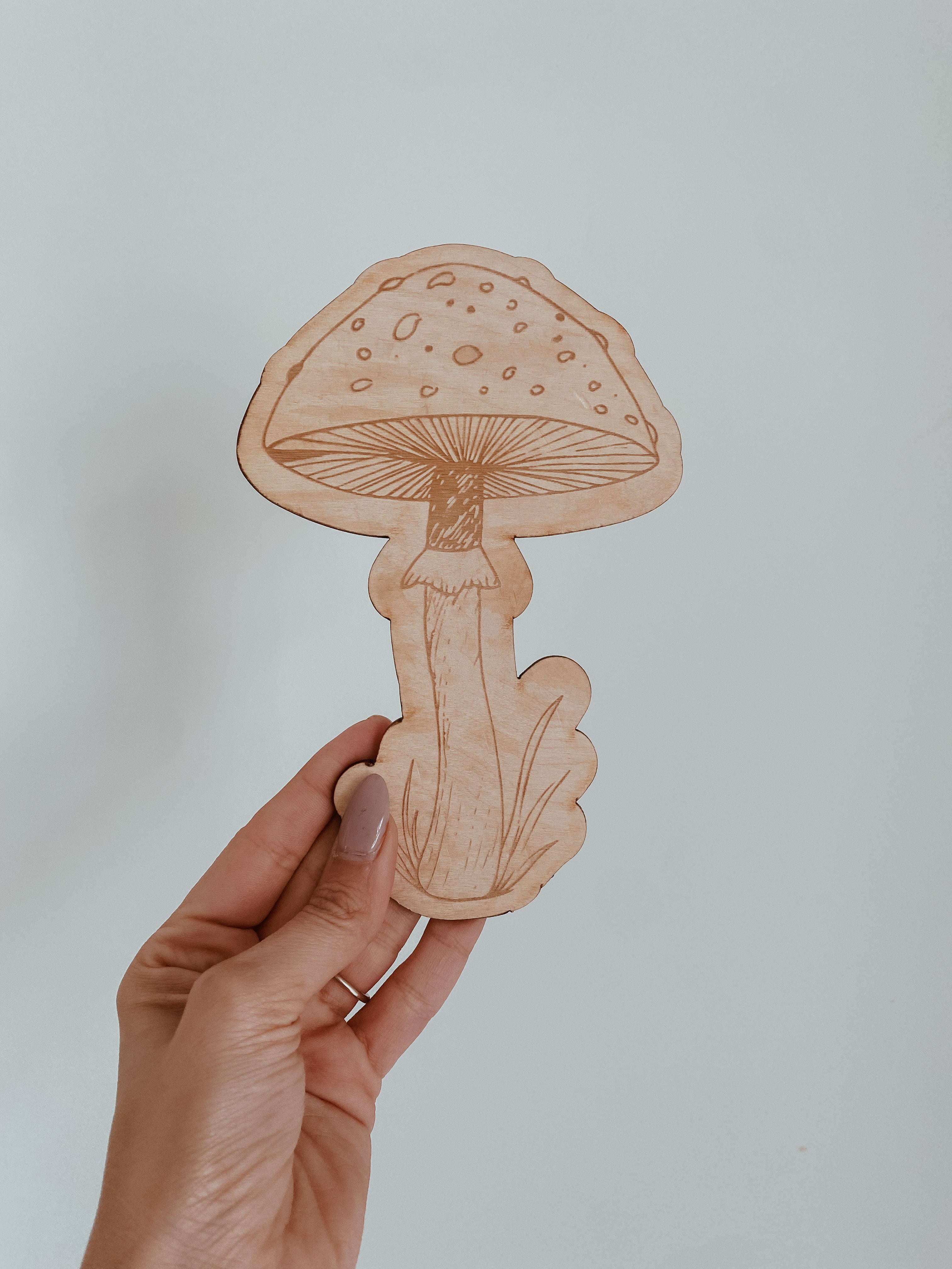 Wooden  Mushroom Plaque
