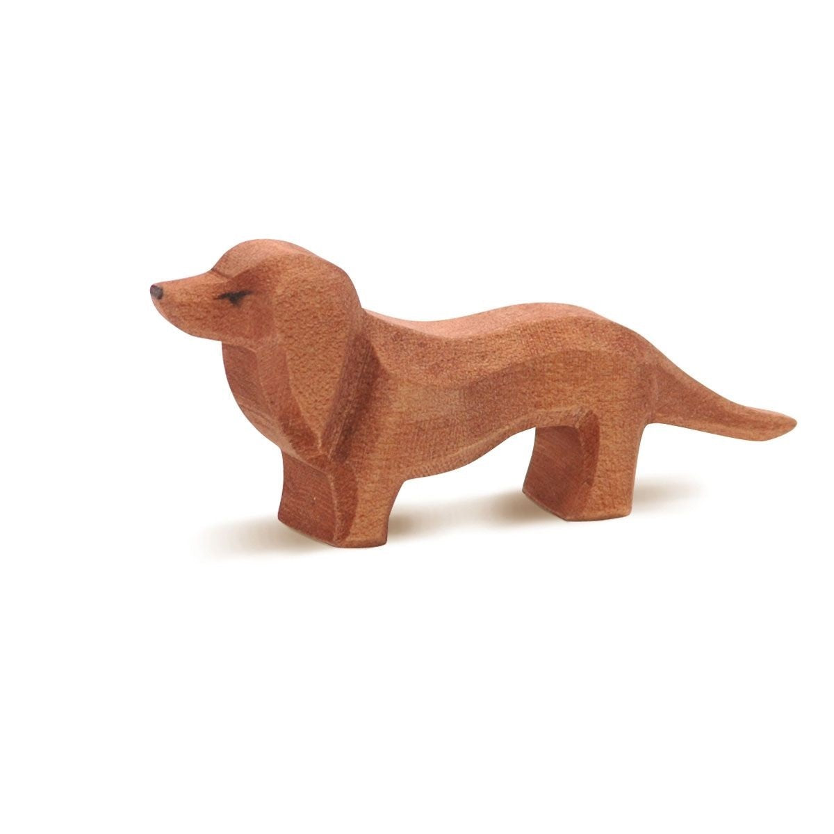 Dog - Dachshund