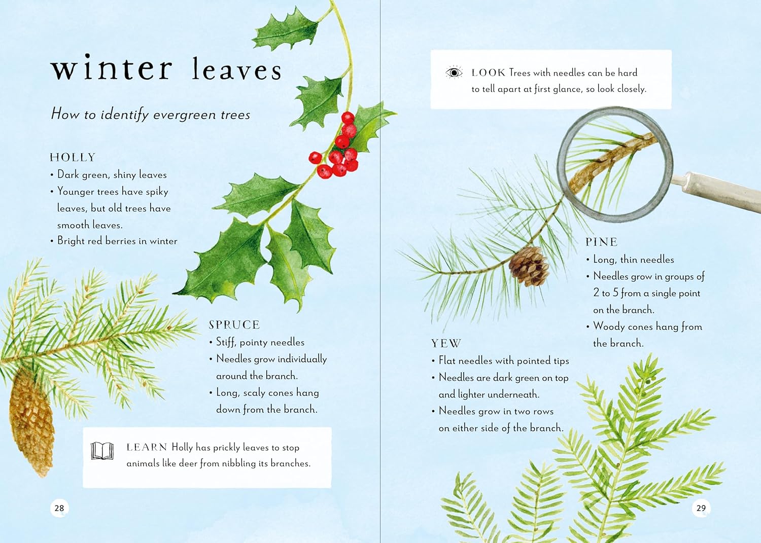 A Field Guide to Winter: Play and Learn in Nature