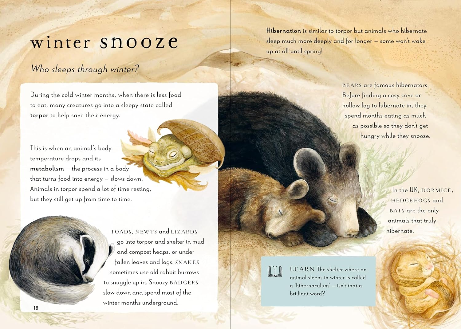 A Field Guide to Winter: Play and Learn in Nature