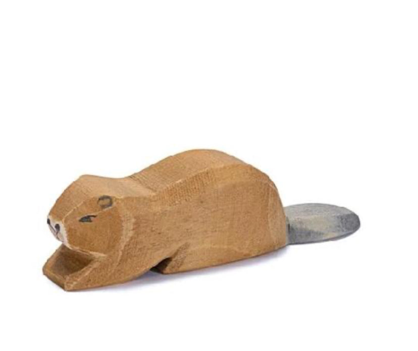 Beaver lying