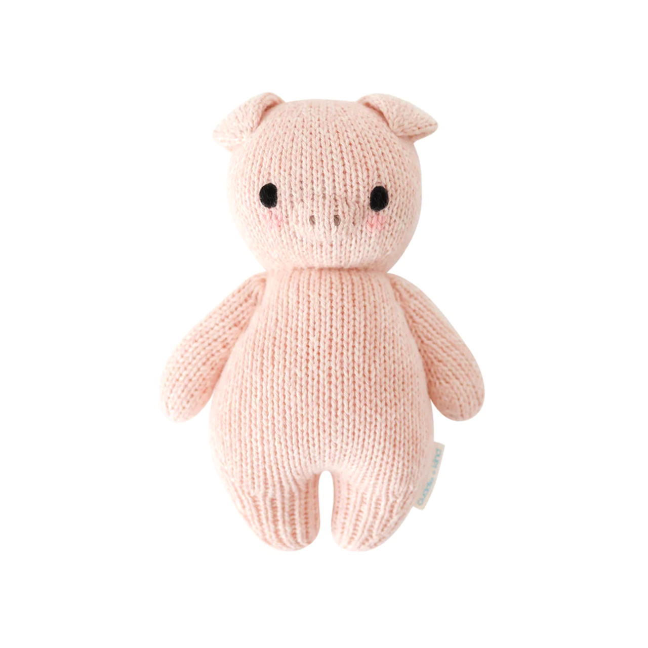 Baby Piglet