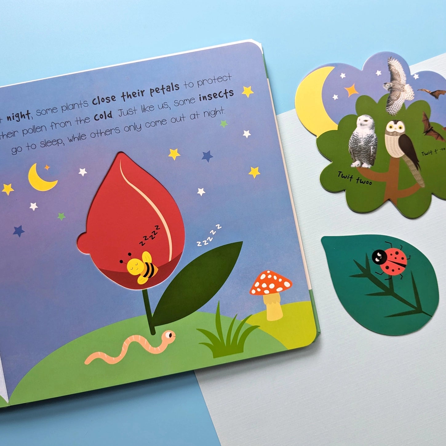 Little Wonders Pop-Out Playbook - Night & Day