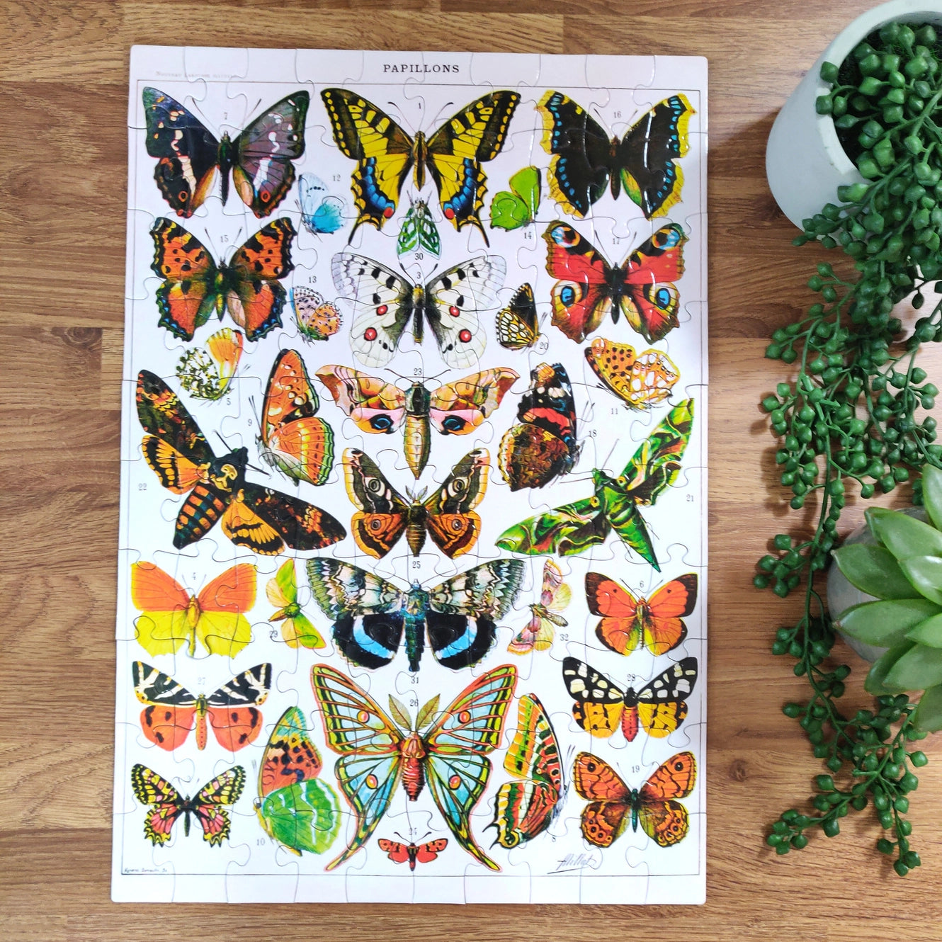 100 Piece Jigsaw - Vintage Butterflies