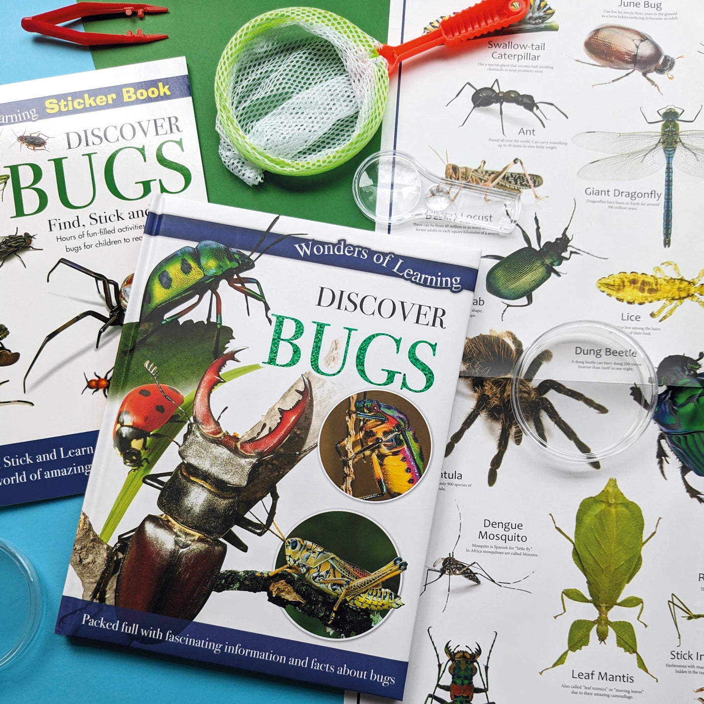 Discover Bugs Educational Box Set