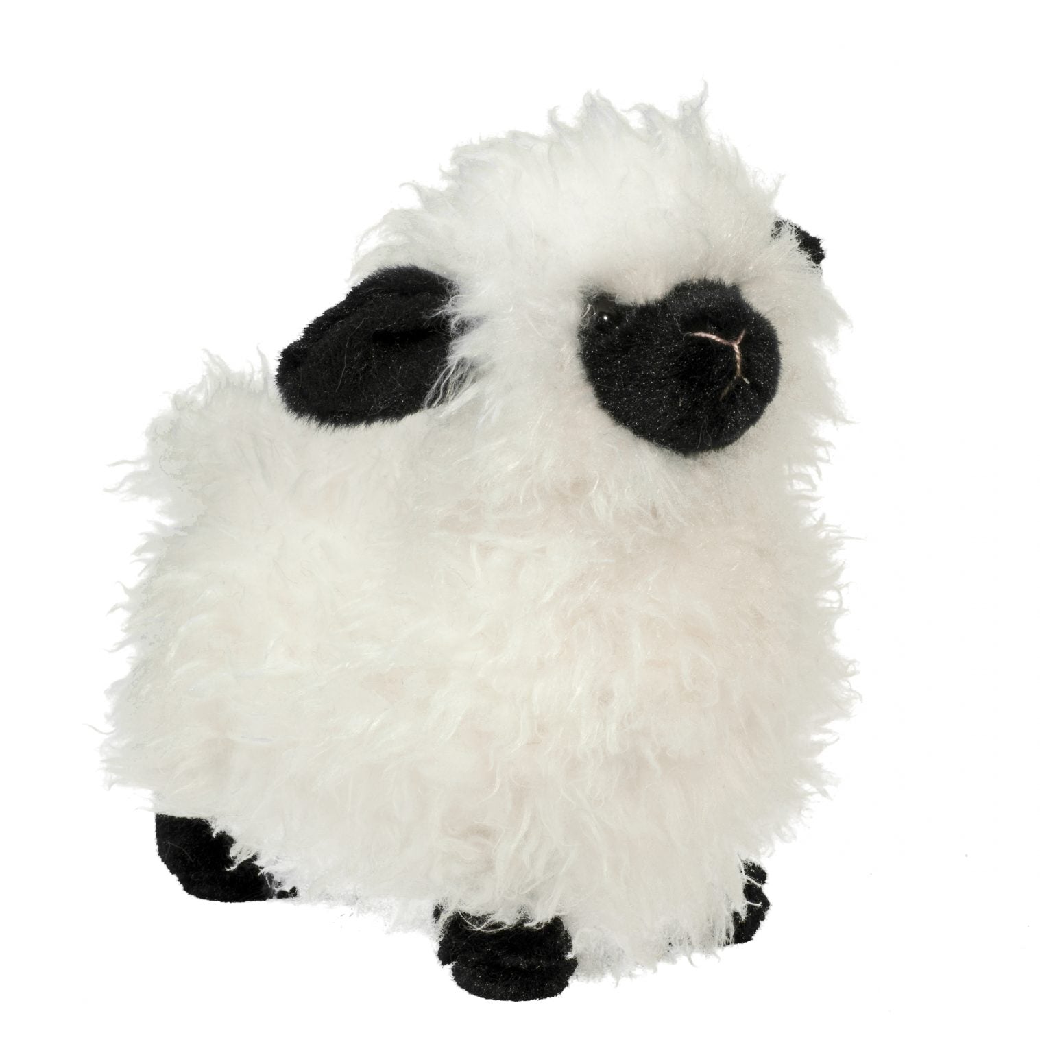 Shiloh Sheep