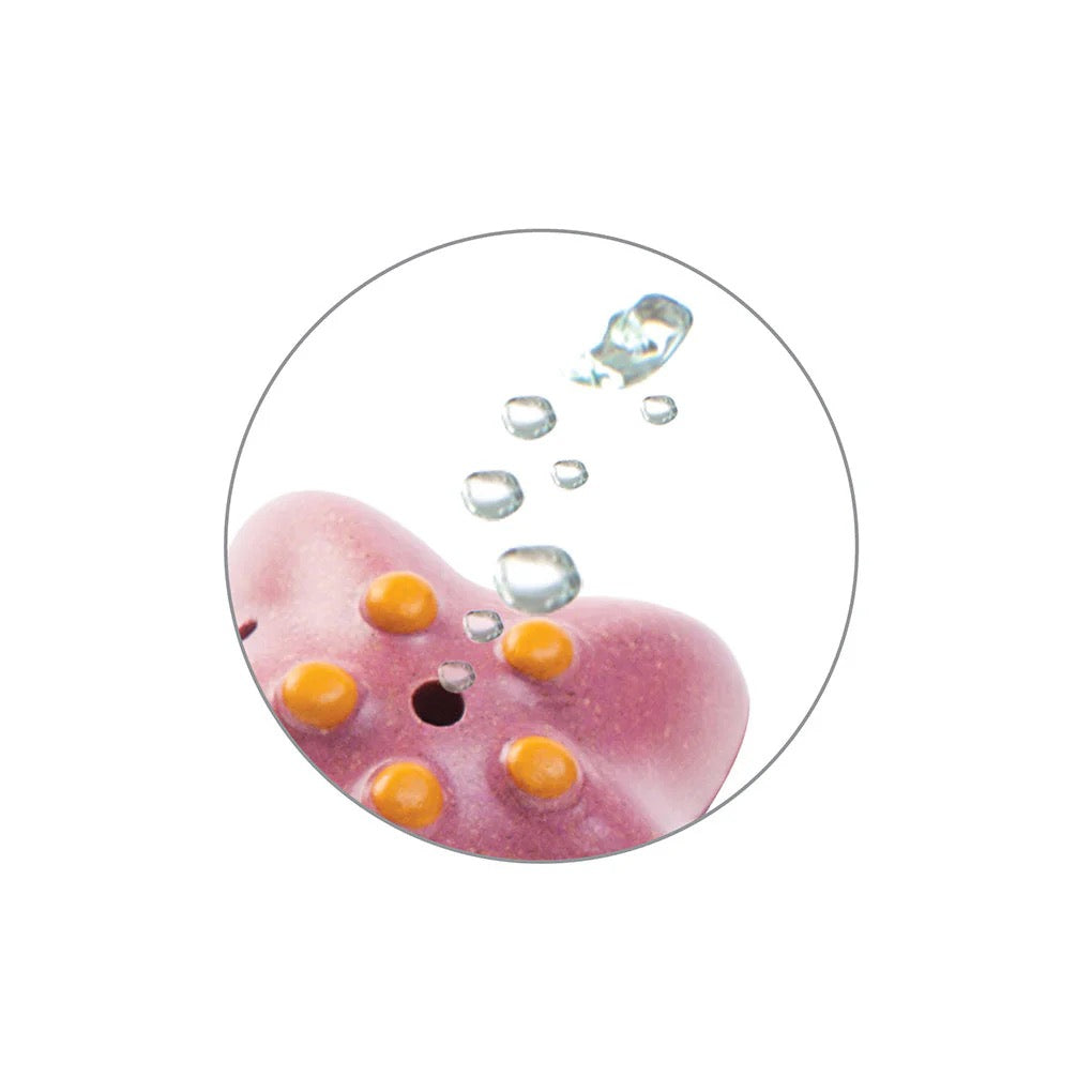 SEA LIFE BATH SET