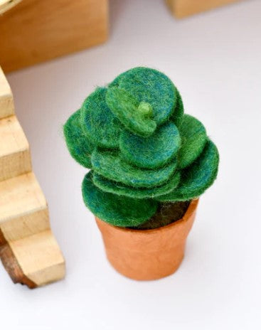 Felt Jade Succulent Plant with Lokta Paper Pot