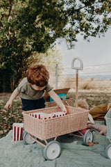 RATTAN WONDER WAGON-Rose
