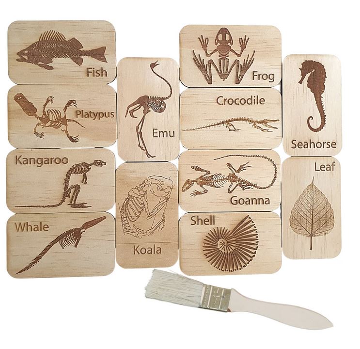Fossil Cards - Set of 12