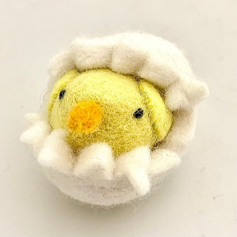 Animals - Chick in Egg