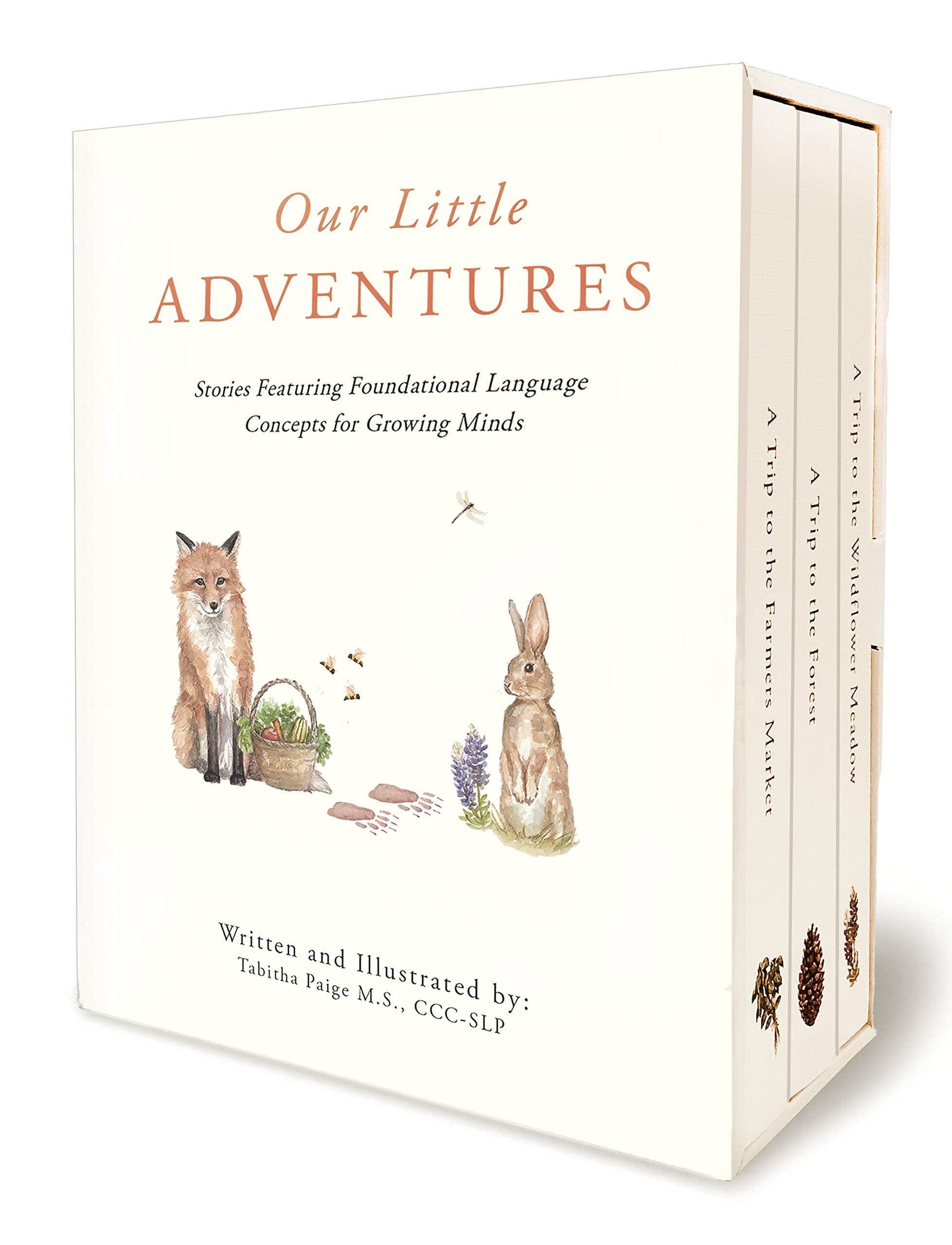Our Little Adventures: Stories Featuring Foundational Language Concepts for Growing Minds