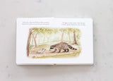 Our Little Adventures: Stories Featuring Foundational Language Concepts for Growing Minds