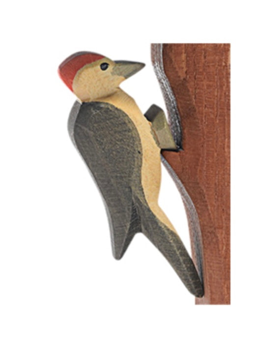 Bird- Woodpecker