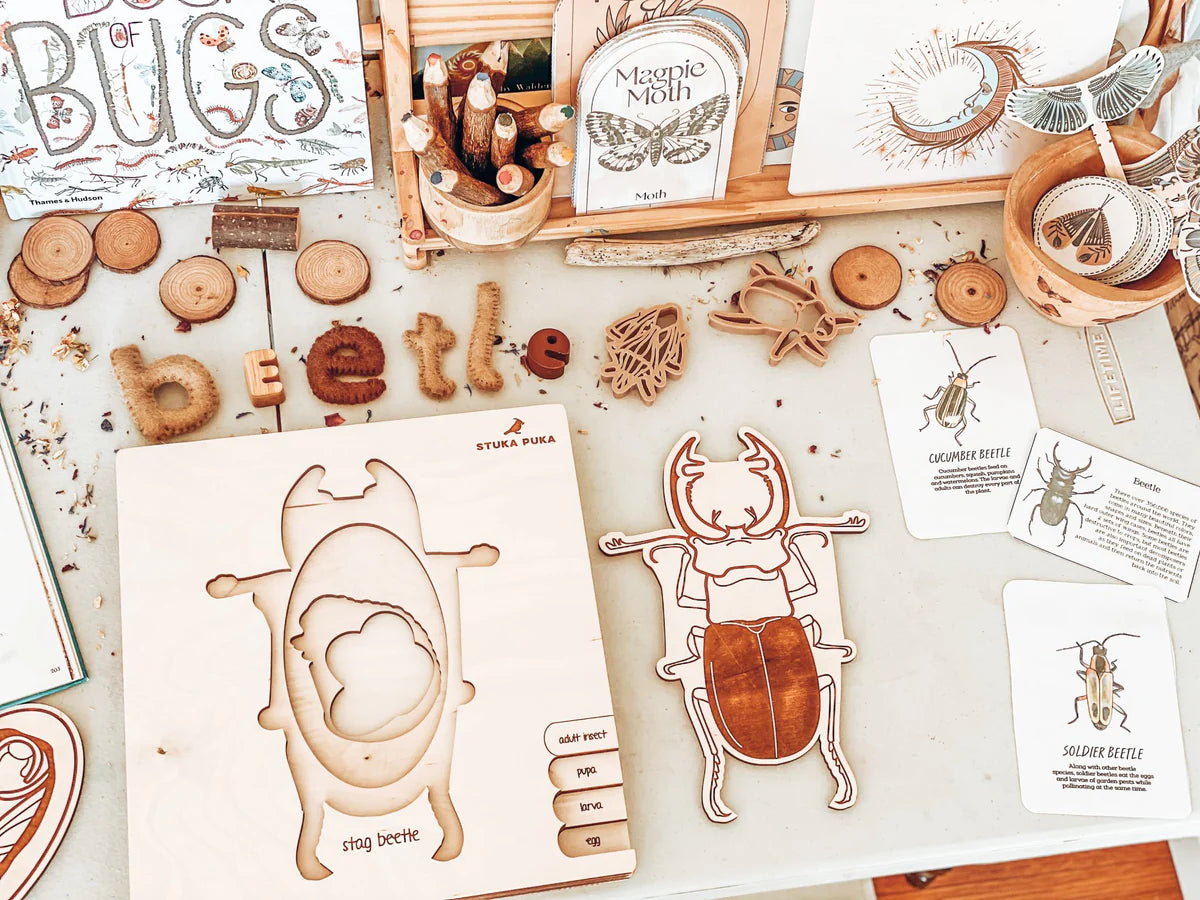 Stag Beetle Lifecycle Wooden Puzzle